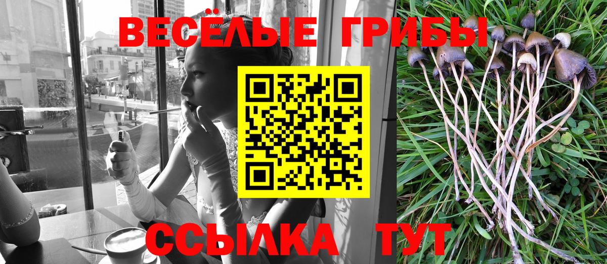 Псилоцибиновые грибы MAGIC MUSHROOMS Южноуральск