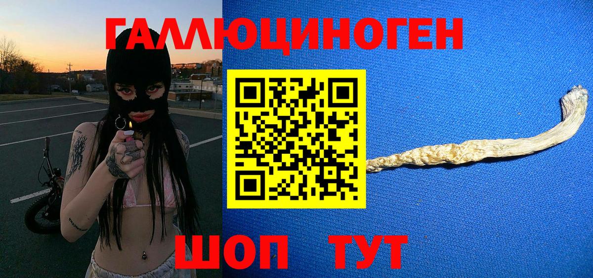 магазин продажи наркотиков  Галлюциногенные грибы Psilocybe  Вход с VPN  Южноуральск 