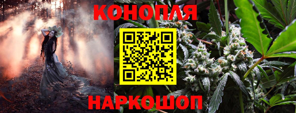 Южноуральск  Каннабис сатива  Вход с VPN  Марихуана план  Марихуана White Widow  Бошки марихуана индика 